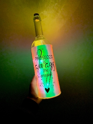 Light up bottle ornnament