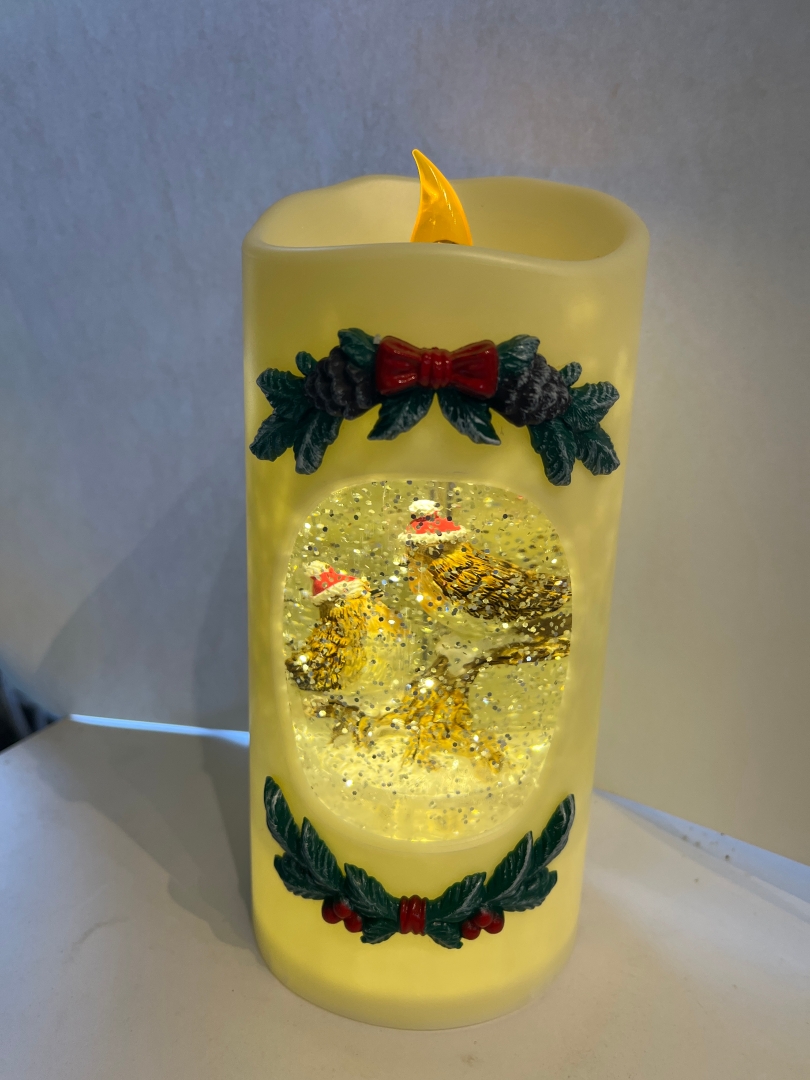 Robin candle light  with plug