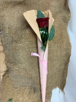 Single red rose